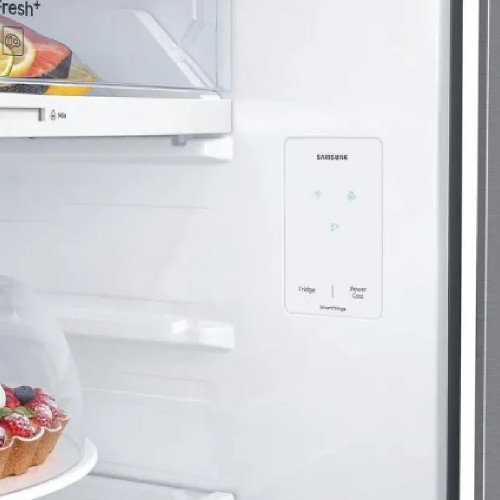 SAMSUNG Samsung RT31CG5624S9ES Ψυγεία