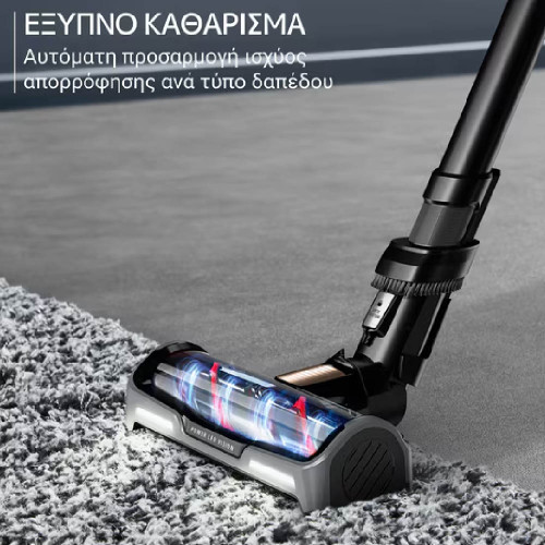 ROWENTA RH99G3WO Σκούπες χειρός Stick